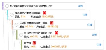 杭州祥源寰熙企業(yè)管理咨詢有限責任公司 信息技術(shù)咨詢服務(wù)的專業(yè)支持